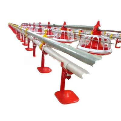 New Poultry Farm Drinking System Caged Chicken House Watering Systems