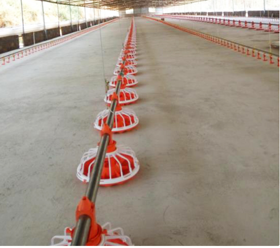 농장을 위한 완전히 자동 닭 모이 송곳 체계 가금 송곳 지류 0