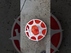 닭 목장, 단순한 급전 라인, 전력 공급 장치의 전체 세트를 위한 자동 피드 기계