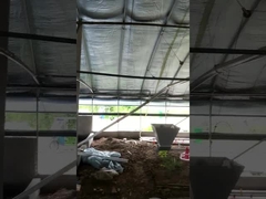 조정할 수 있는 주문 제작된 자동 닭 목장 공급 장치 장비 전압