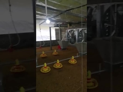 조정할 수 있는 주문 제작된 자동 닭 목장 공급 장치 장비 전압