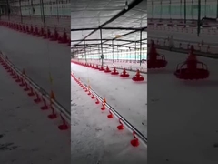 가금 음주가 가금 장비를 위한 플라손 버킷 자동 벨 음주가