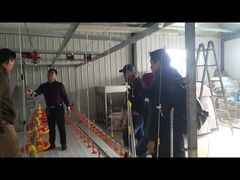 농업용수를 낳아 조류 가금류를 위한 시스템 음주가들 젖꼭지 물 뿌리는 장치를 급수하는 물을 마시는 거위들 오리